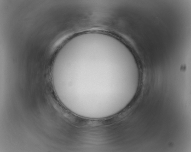 X0000114131407200910080951
