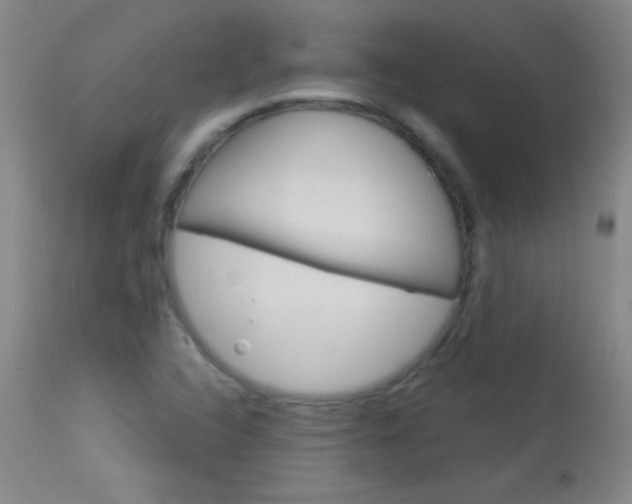 X0000114131408200910080951