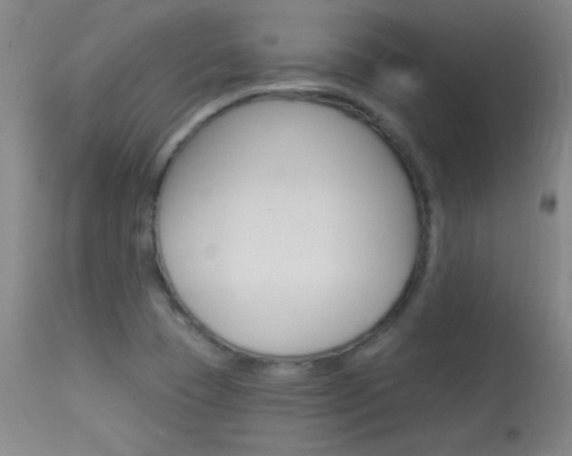 X0000114131409200910080951
