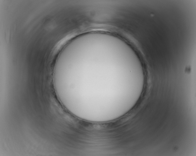X0000114131411200910080951