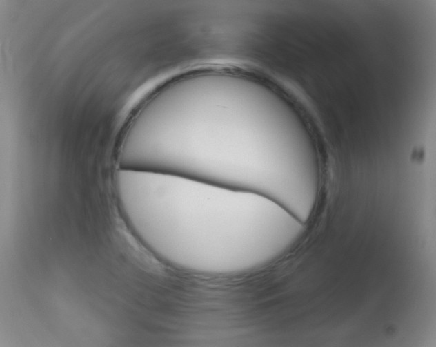 X0000114131412200910080951