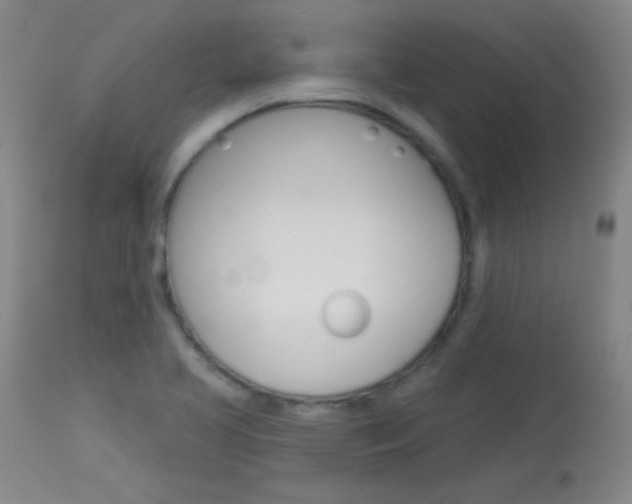 X0000114131413200910080951
