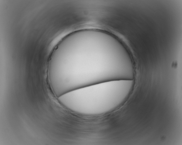X0000114131415200910080951
