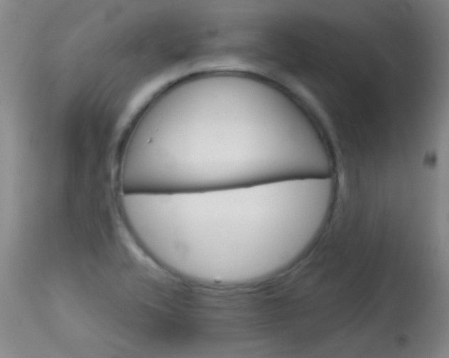 X0000114131416200910080951