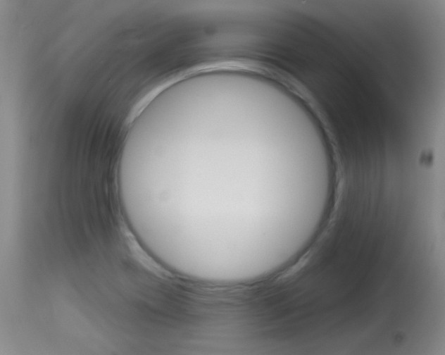 X0000114131417200910080951