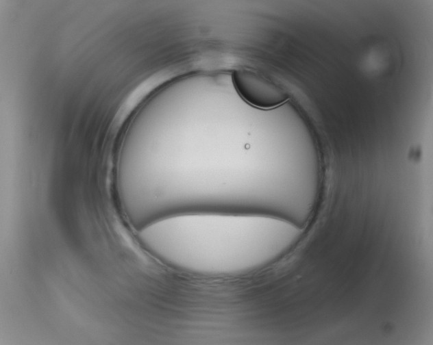 X0000114131418200910080951