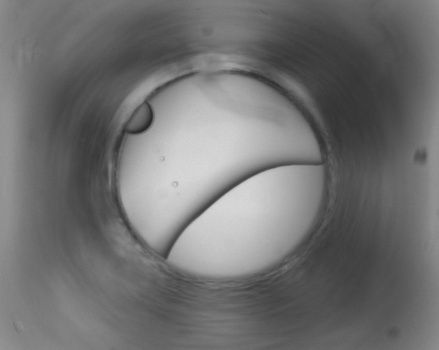 X0000114131419200910080951