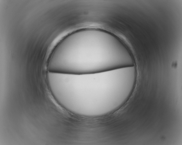 X0000114131424200910080951