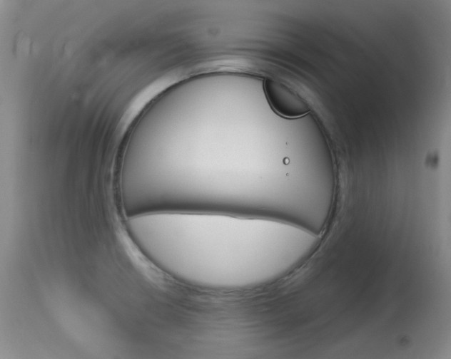 X0000114131426200910080951