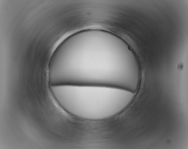 X0000114131428200910080951