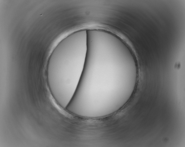 X0000114131429200910080951