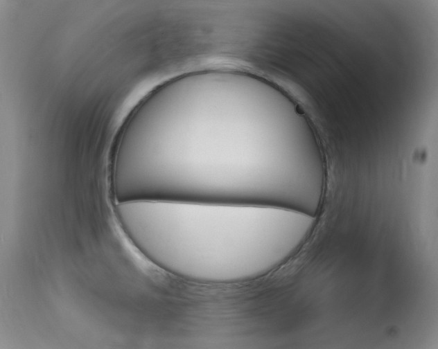 X0000114131430200910080951