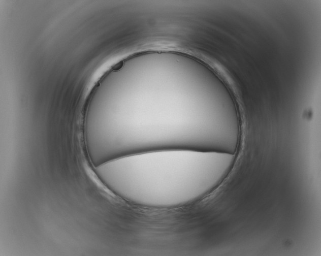 X0000114131432200910080951