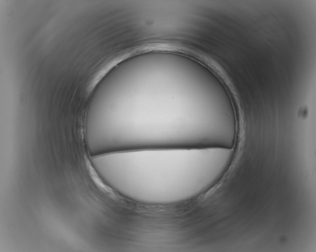 X0000114131433200910080951