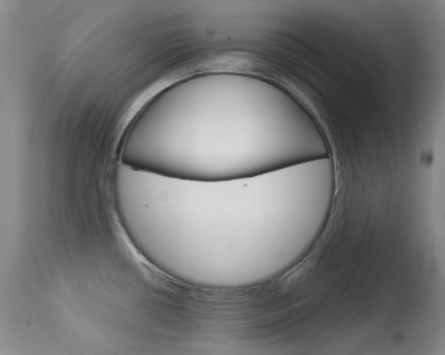 X0000114131434200910080951