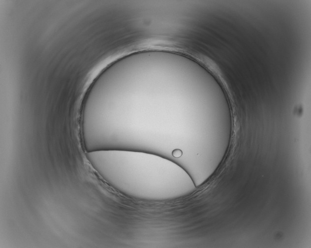 X0000114131435200910080951