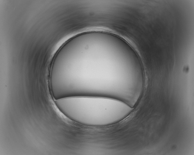 X0000114131438200910080951