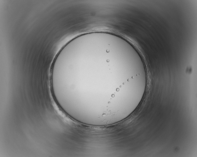 X0000114131439200910080951