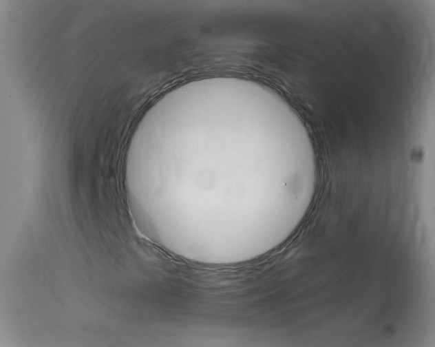 X0000114131441200910080951