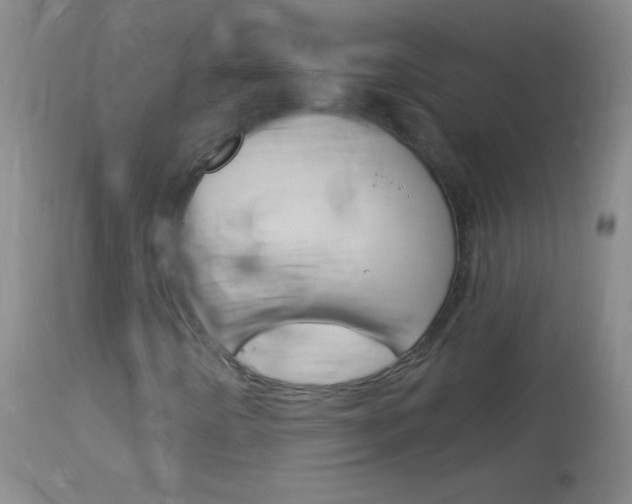 X0000114131442200910080951