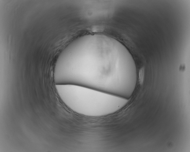X0000114131443200910080951