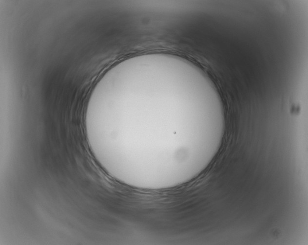 X0000114131444200910080951