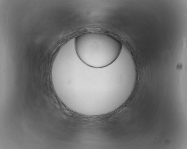 X0000114131445200910080951