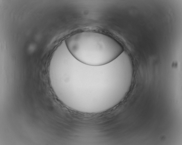 X0000114131447200910080951