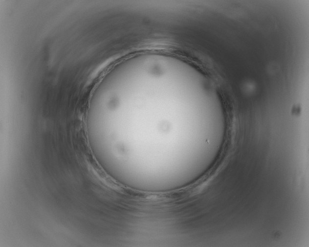 X0000114131449200910080951