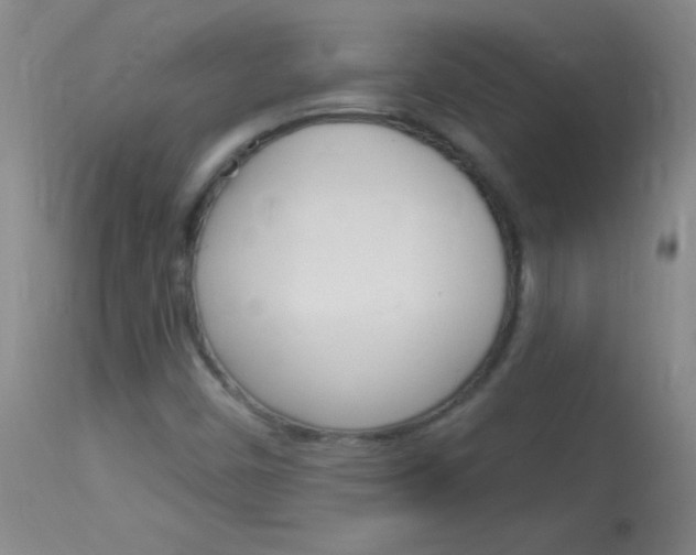 X0000114131450200910080951