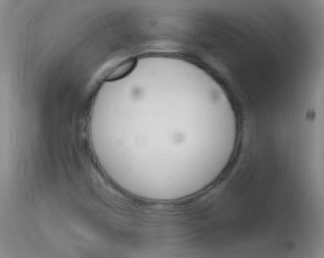 X0000114131451200910080951