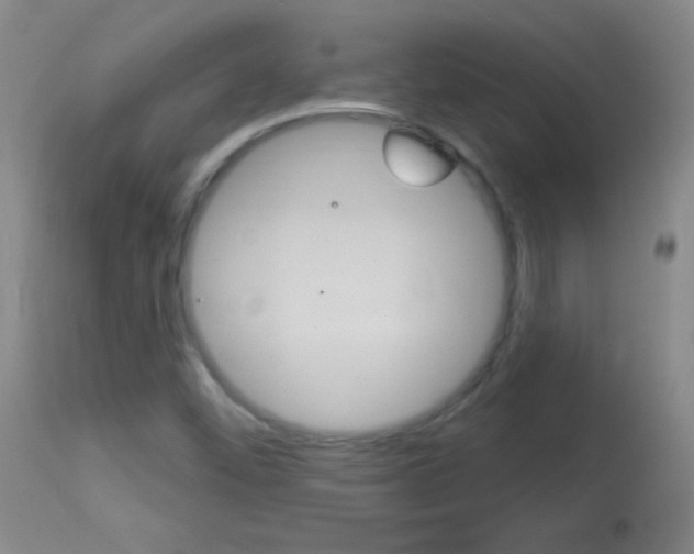 X0000114131452200910080951