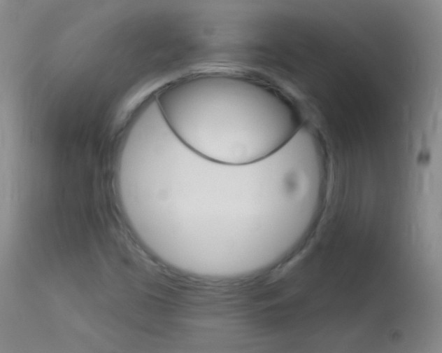 X0000114131453200910080951