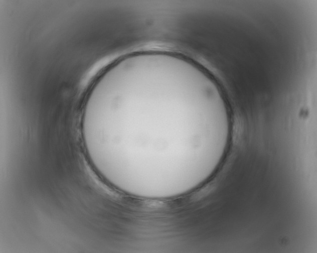 X0000114131454200910080951