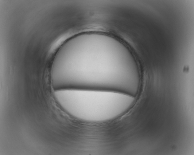 X0000114131455200910080951