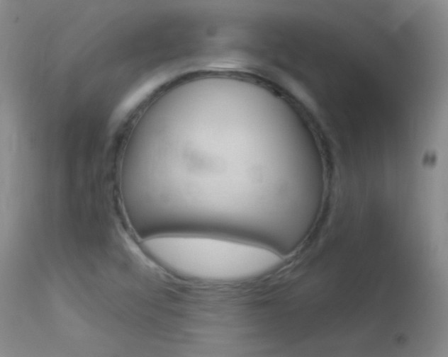 X0000114131456200910080951