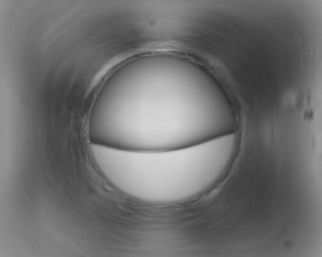X0000114131457200910080951