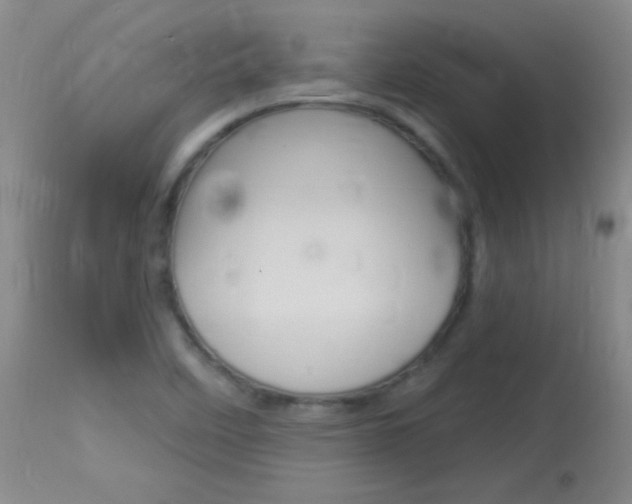 X0000114131458200910080951