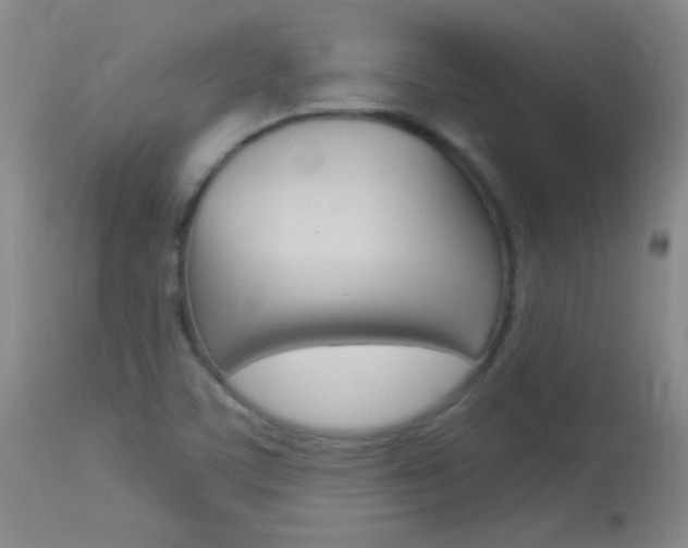 X0000114131459200910080950
