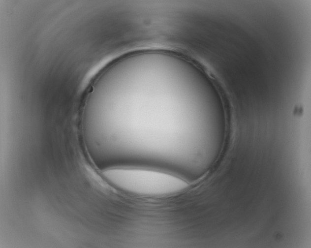 X0000114131460200910080950