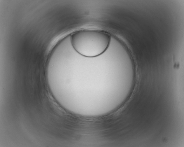X0000114131461200910080950