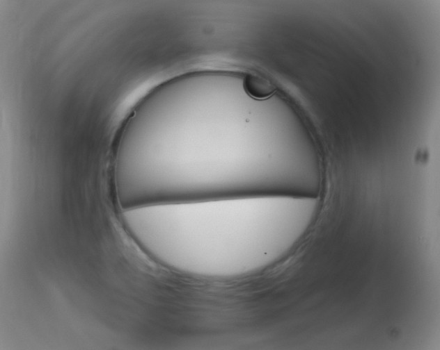 X0000114131463200910080950
