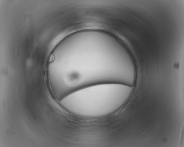 X0000114131467200910080950
