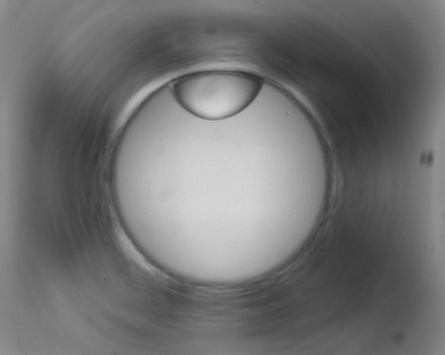 X0000114131468200910080950