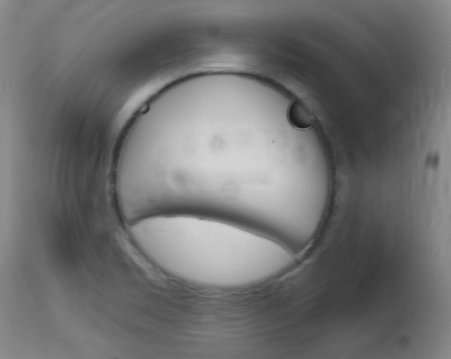 X0000114131469200910080950