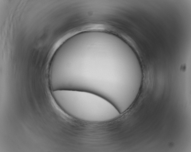 X0000114131475200910080950