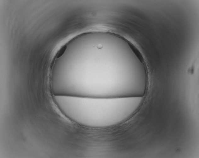 X0000114131477200910080950