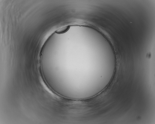 X0000114131479200910080950