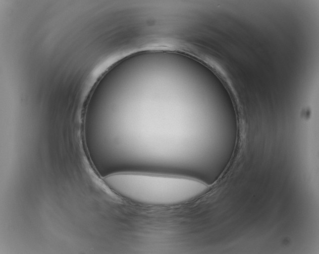X0000114131480200910080950