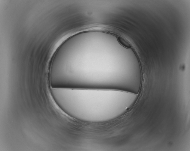 X0000114131483200910080950